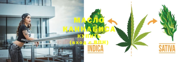 индика Медногорск