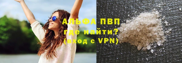 молекула духа Ивангород