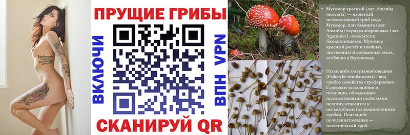 Галлюциногенные грибы ЛСД  Калтан 